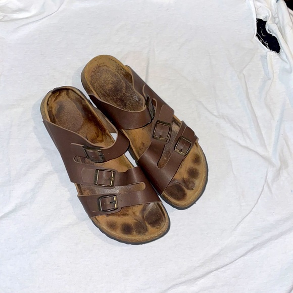 Betula - Picture 5 of 6